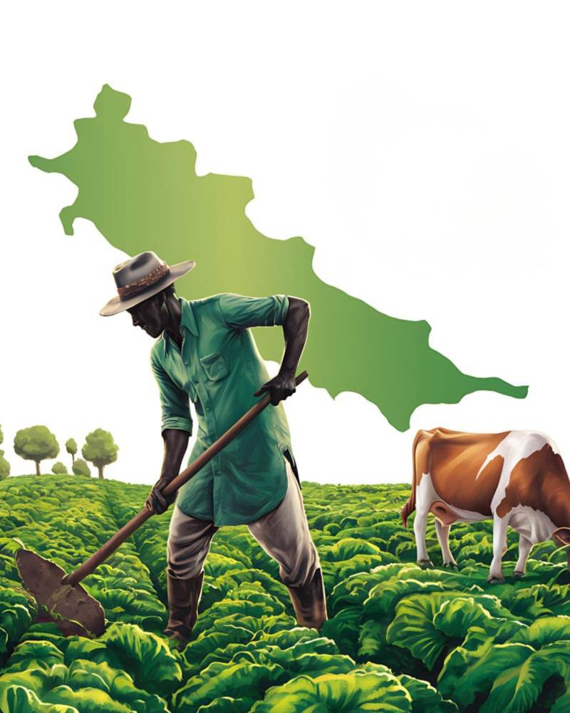 Daily-branding-website-home-page-farming